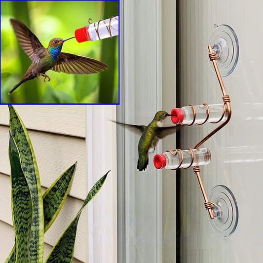 Window Hummingbird Feeder | Geniet van de schoonheid van kolibries dichtbij