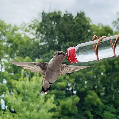 Window Hummingbird Feeder | Geniet van de schoonheid van kolibries dichtbij