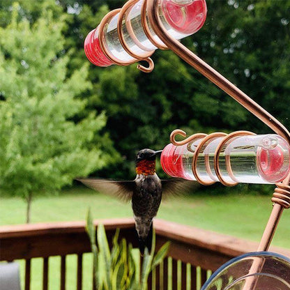 Window Hummingbird Feeder | Geniet van de schoonheid van kolibries dichtbij