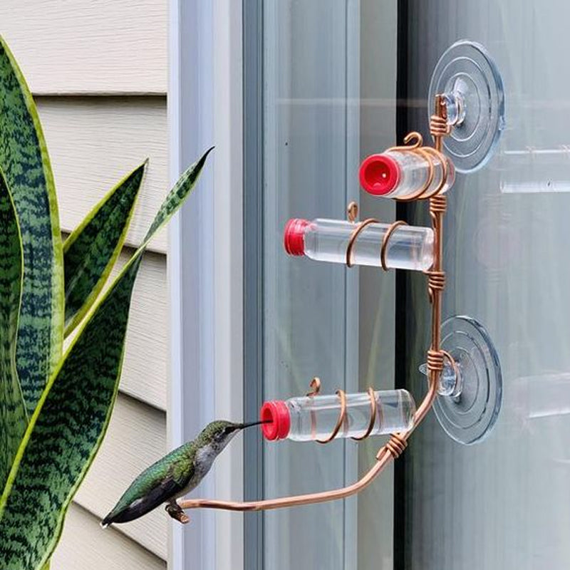 Window Hummingbird Feeder | Geniet van de schoonheid van kolibries dichtbij
