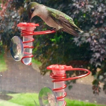 Window Hummingbird Feeder | Geniet van de schoonheid van kolibries dichtbij
